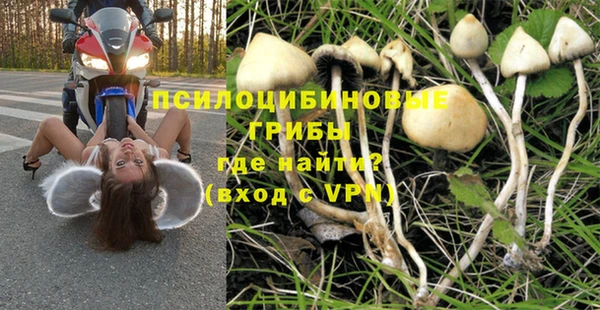 Альфа ПВП Алексеевка