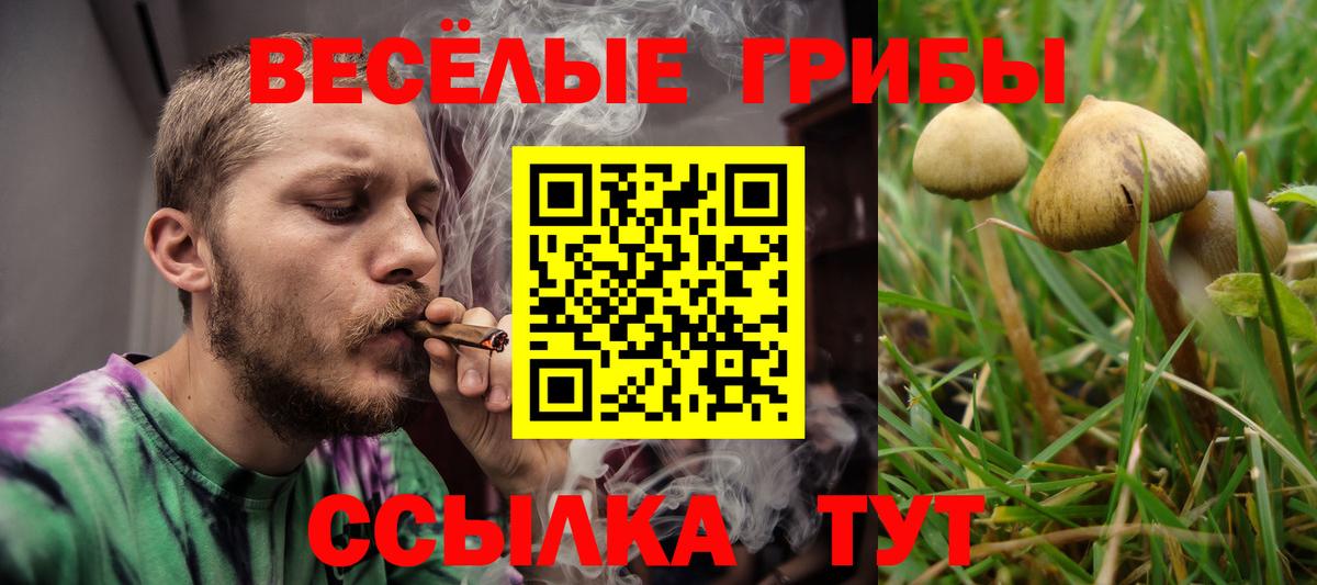 ГАШИШ Тамбов