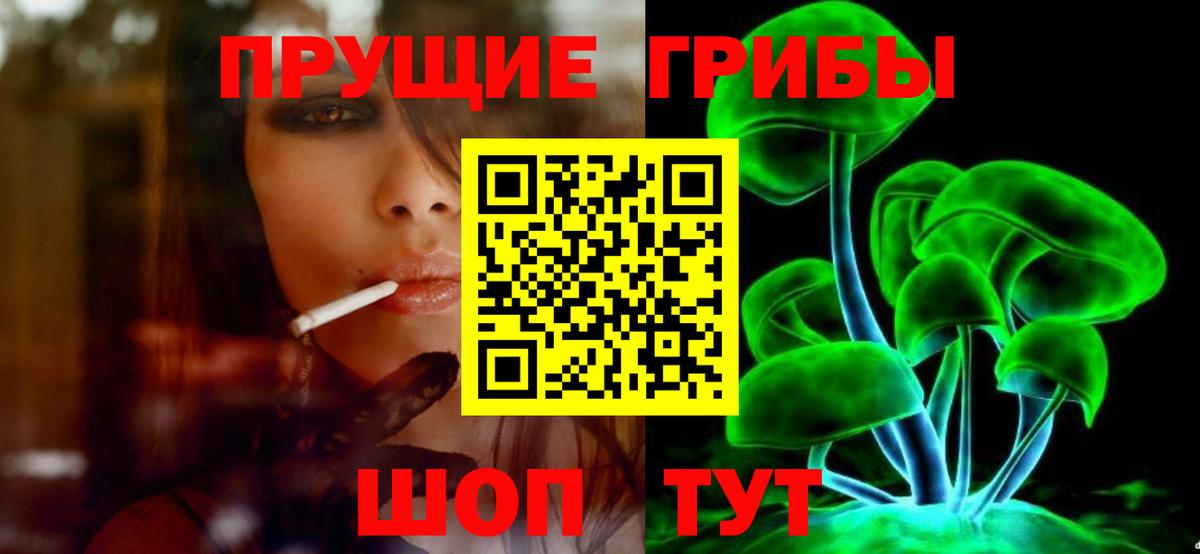 Псилоцибиновые грибы прущие грибы Тамбов
